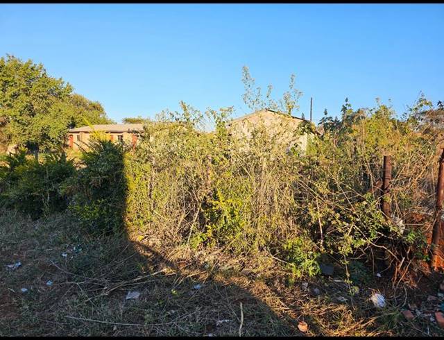 BUSINESS FOR SALE IN SHAYANDIMA